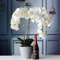 C-OR007 Factory Direct Artificial Flower Orchid With Flower Pot Real Touch Orchid Phalaenopsis Wholesale for Decoration