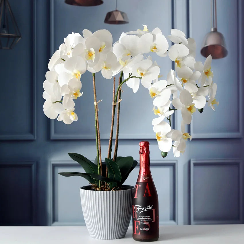 C-OR007 Factory Direct Artificial Flower Orchid With Flower Pot Real Touch Orchid Phalaenopsis Wholesale for Decoration