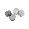 Round Inserts Cutters PCD/CBN Inserts for Aluminum Cylinder Head Milling Tools OEM Super Hard RNGN Model