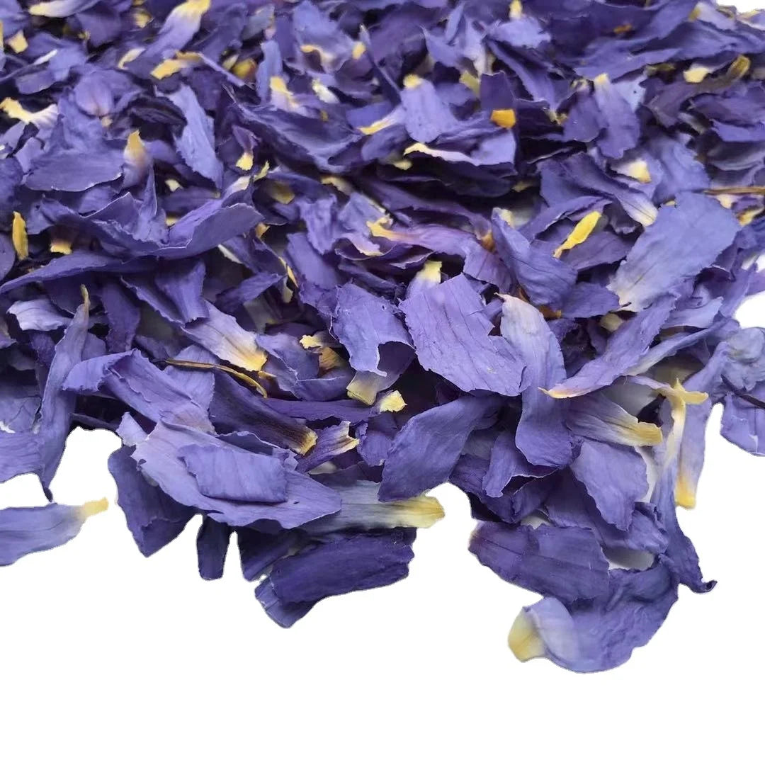 HOVP4009 Lan Lian Hua Vacumn Lotus Flower Petals Chinese Dried Blue Lotus for Tea