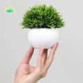 Mini Plastic Artificial Plants Grass in Pot  Small Artificial  Greenery for Bathroom House Decorations