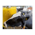 New Hot Selling Zhenda Unpowered/Electric Cow Body Brush 600MM Roller PP/PA Material-Durable & Easy to Use