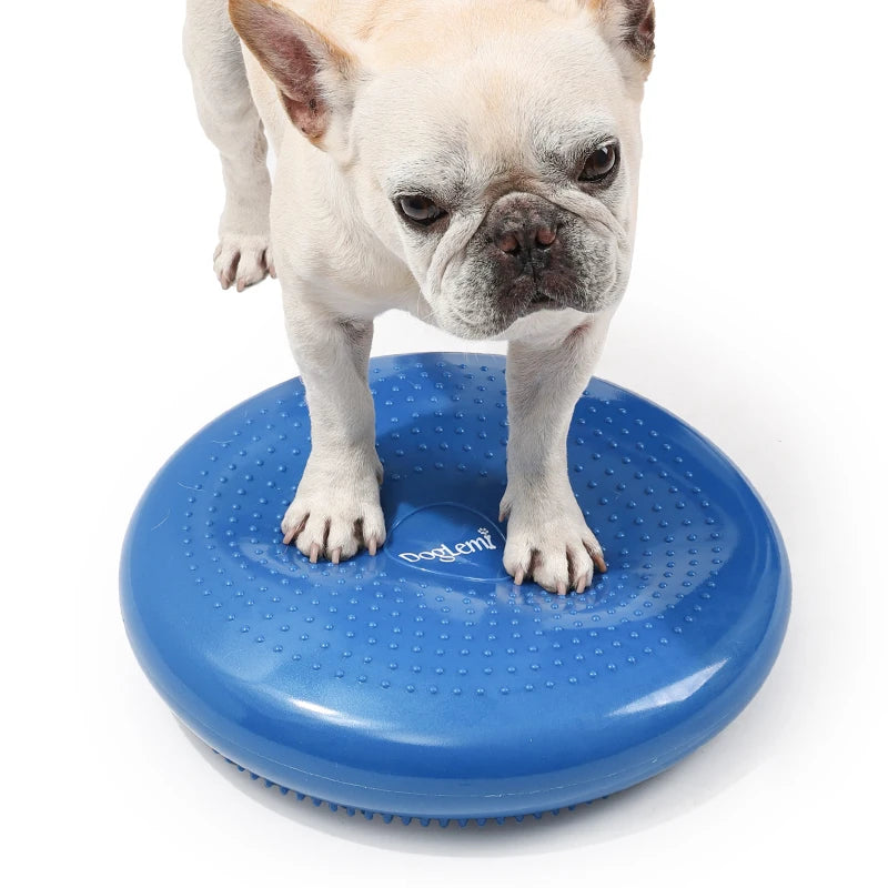 Direct Factory Sale Inflated Disc for Pet Balance Training Dog Coordination & Improved Balance Best Pet Training Supplies