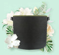 Large Nursery Fabric Pot with Handle Biodegradable Garden Planter Grow Bag Not Coated Black Features Filter Chinese Suppliers