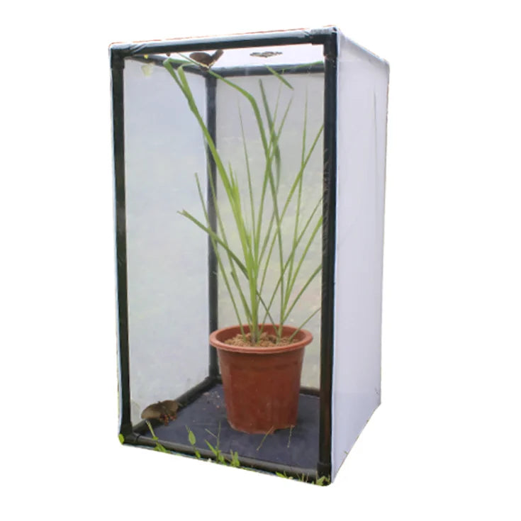 42x42x77cm Professional Dragonfly Butterfly Flying Insect Mesh Cage Outdoor Observation Plant Small Animal Terrarium Fixed