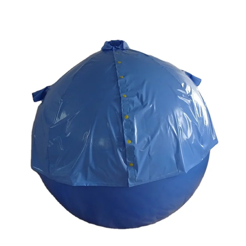 New Design Custom Advertising Blueberry Ball Funny Pvc Inflatable Suit for Sale