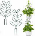 Plant Trellis for Climb Plants Outdoor Indoor Stylish Quality Iron Trellis for Potted Plant