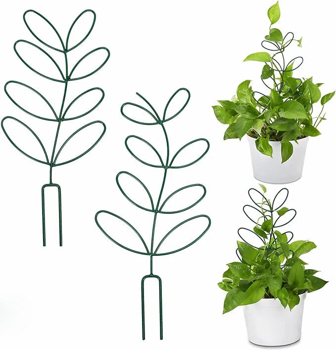 Plant Trellis for Climb Plants Outdoor Indoor Stylish Quality Iron Trellis for Potted Plant