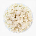 Wholesale Blooming High Quality Pure Jasmine Flowers Herb Buds No Added Scents Loose White Detox Flowers Tea