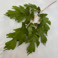 Elephant Leaves for Wedding Decoration Artificial Plants