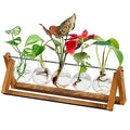 HOT Plant Terrarium With Wooden Stand 5 Bulb Vase Desktop Propagation Stations for Hydroponics Plants Office Home Garden Decor