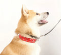 Personalized Leather Dog Collar with Wide Rivet Studded Spikes Elegant Classic Tactical Style Features for Cats
