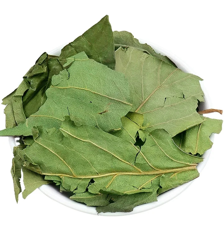 Shi Zi Ye Dried Diospyros Leaf Pure Natural Raw Diospyros Kaki Leaves for Tea