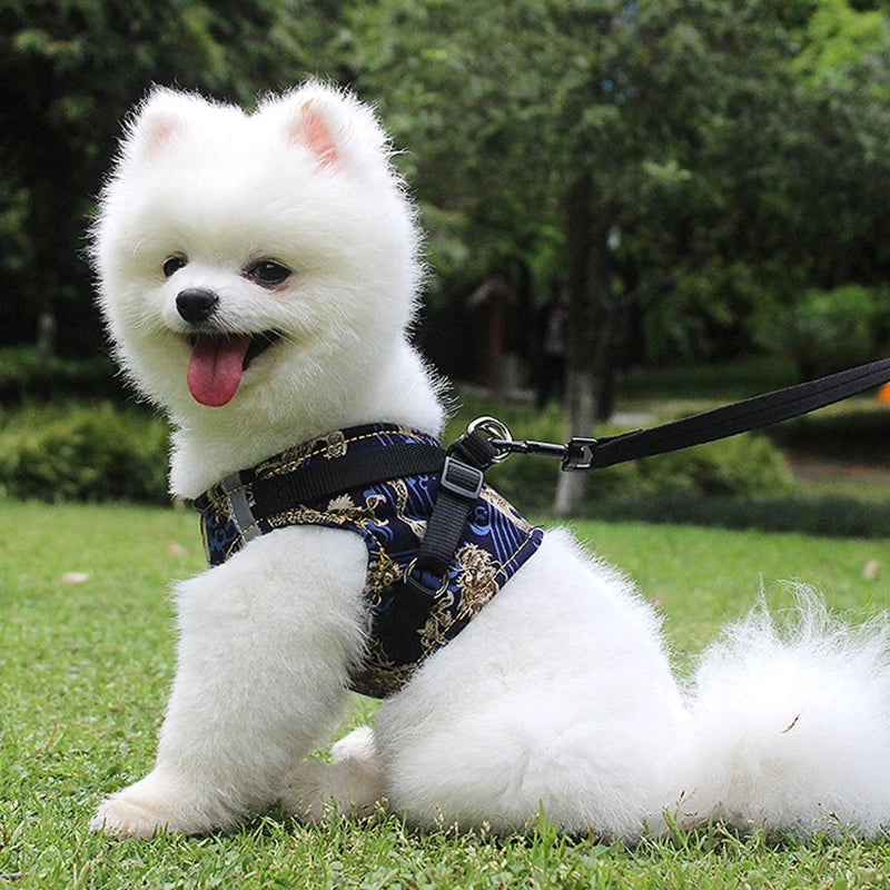 High-Quality Sublimation Dog Harness rainbow Printing