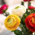 YOPIN 283 Wholesale Silk Peony Artificial Flowers Rose Bouquet Single Peony Flower White Flowers Peony