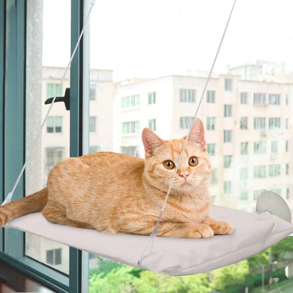 ALL-FOR-PAWS Cat Window Lounger Cat Resting Seat Perch Window Hammock Cats Kitty Safety Bed with Durable Heavy Duty Suction Cups