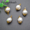18k Gold Plated Fresh Water Pearl Loose Beads Charms for Jewelry Making