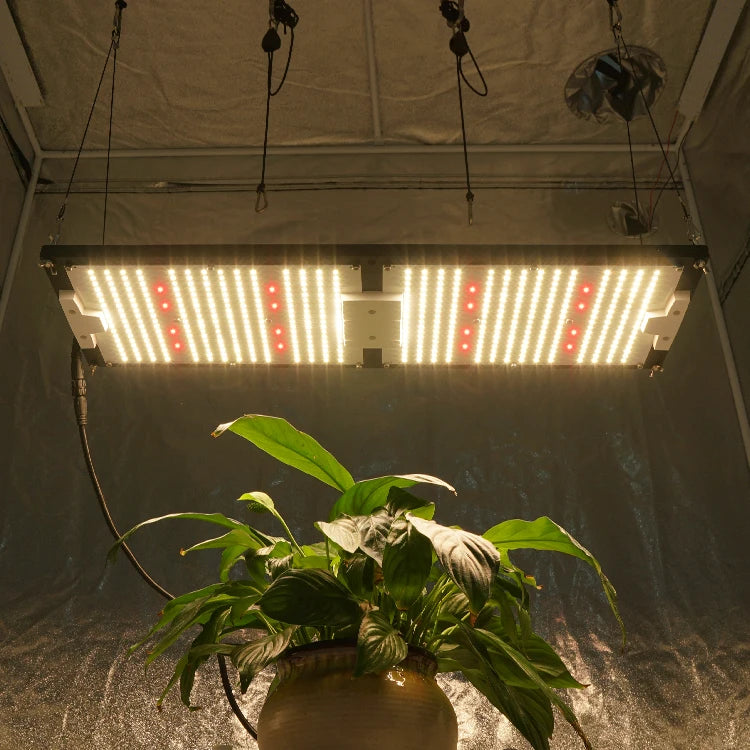 KingBrite Led 240W Pre-assembled Samsung LM301H With XP-E2/XP-G3 660nm Red Led Grow Light