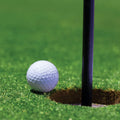 Wholesale Indoor Outdoor Mini Golf Grass Mat Outdoor Sports Flooring Putting Green Artificial Grass for Golf