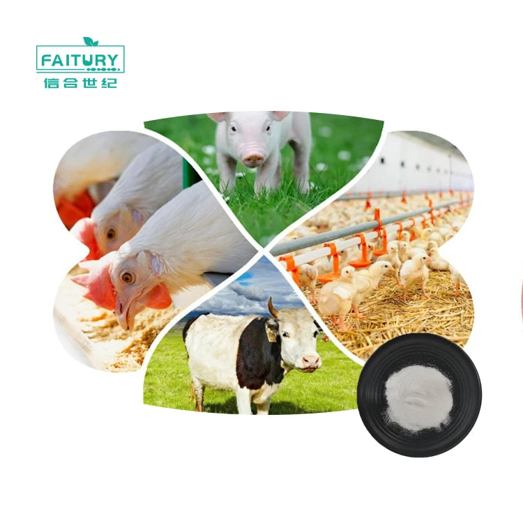 Best Price 99% Raw Dl Methionine Feed Grade 59-51-8 L-methionine Powder
