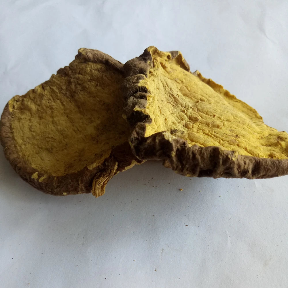 1kg Di Bu Rong Raw Dry Stephania Epigaea Bulbs Slices Epigeal Srephaia Root for Sale