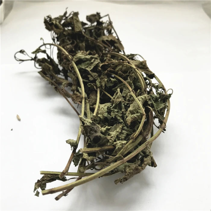 Xiang Feng Cao Bulk Common Goods air Dried Lemon Balm Both Leaf and Stems for Tea