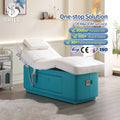 Electric Beauty Bed with LED Light Modern Design 2 Motors for Backrest & Legrest DMC18 Facial Massage Table for Gym Use