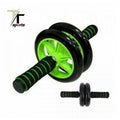 TTSPORTS New Arrival Double Silent Abdominal Household Abdominal Wheel for Muscle Training