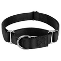 Kingtale Vibrant Colorful Collection Martingale Dog Collar Heavy-Duty Training Collar with No Buckle Service Dog Collar