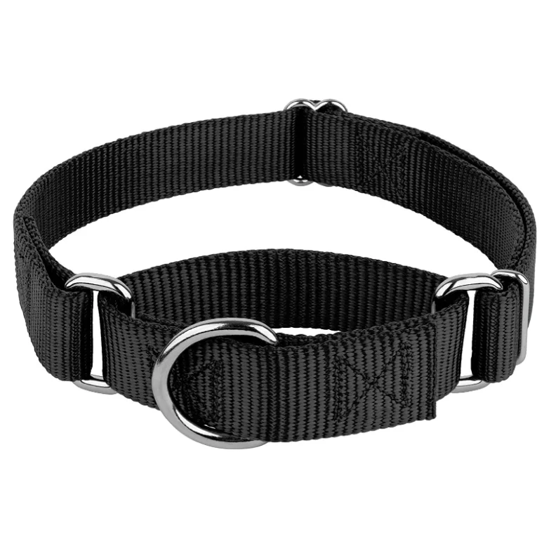 Kingtale Vibrant Colorful Collection Martingale Dog Collar Heavy-Duty Training Collar with No Buckle Service Dog Collar