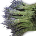 Decoration Artificial Preserved Stabilized Lavender Flowers Handmade Mother's Day Gift