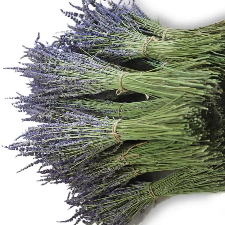 Decoration Artificial Preserved Stabilized Lavender Flowers Handmade Mother's Day Gift