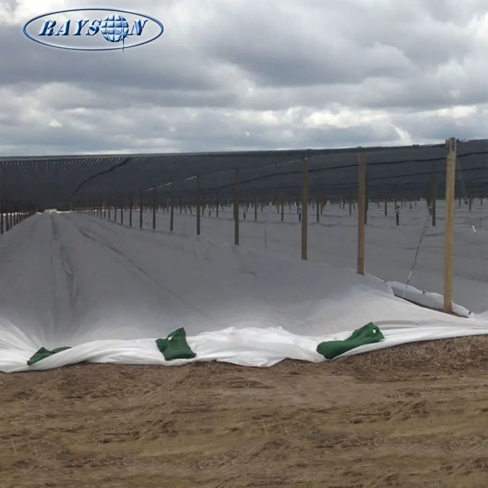 Advanced Technology Good Price Uv Stabalized Floating Row Cover