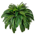 Artificial Boston Fern Bush for Office Patio Living Room Porch Window Farmhouse Decor-Faux Greenery Plastic Material