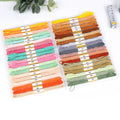 Embroidery Kit Cross Stitch Tool Kit for Beginners Including 447 Color Threads Embroidery Starter Kit