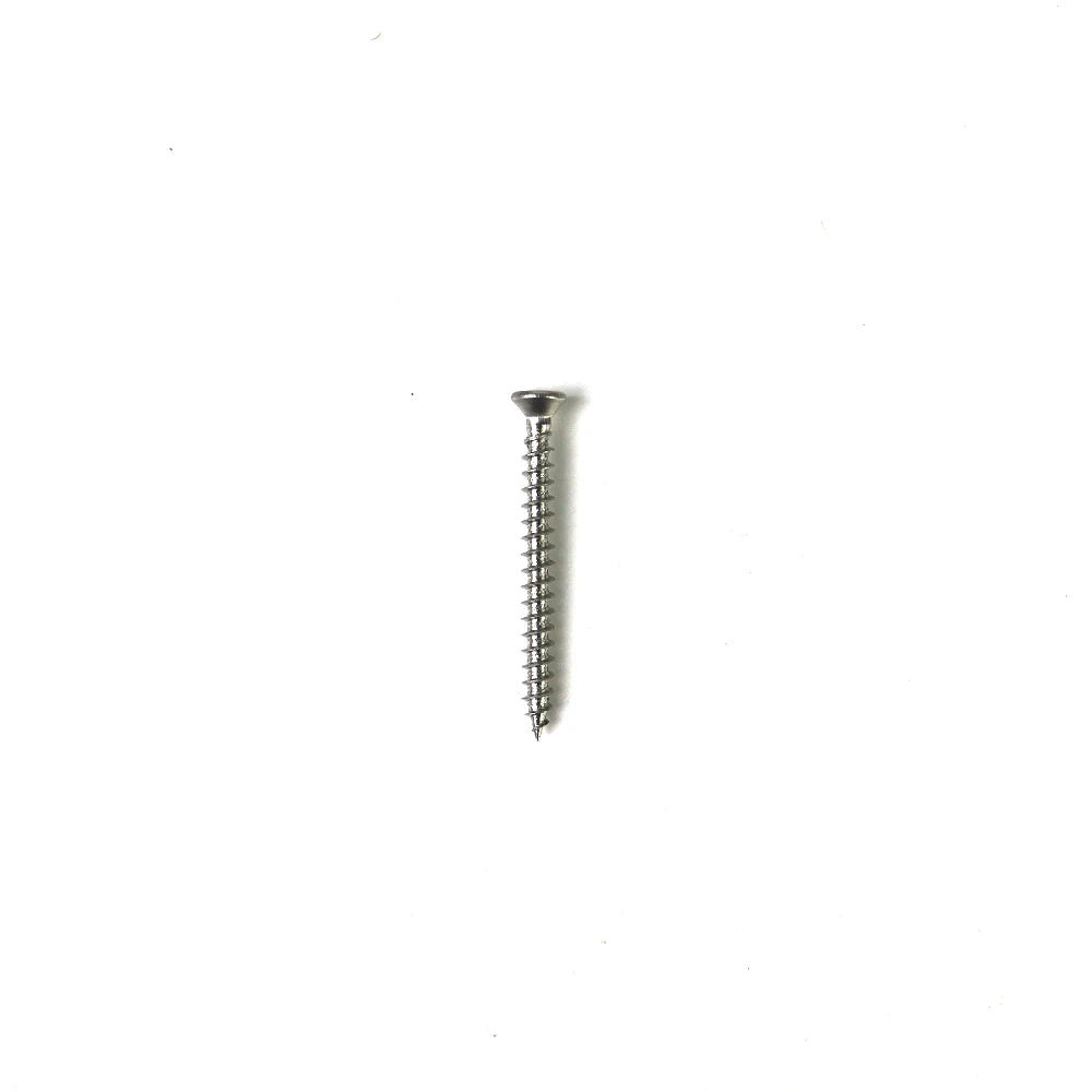 Hotsale Cheap Price Screws 304 Stainless Steel Self-Tapping Screw Cross Wood Screw for Wood Board Flat Head Screws