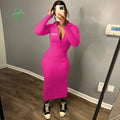 Fashion Hooded Zipper Long Dresses Women Long Sleeve Solid Slim Hoodie Dress Fall Spring 2024 Women's Clothing