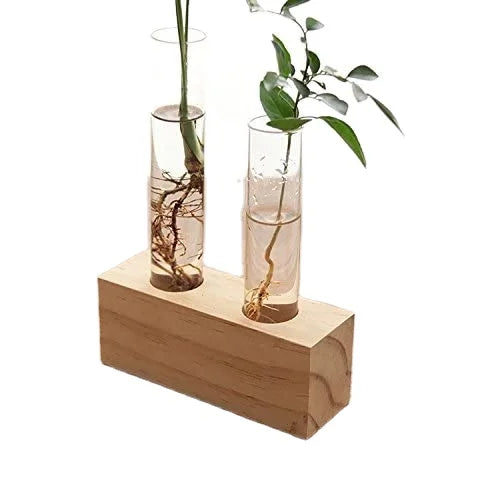 Custom Crystal Glass Double Test Tube Vase in Wooden Stand Flower Pots for  Plants Office Home Decoration