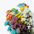 Natural Small Dried Preserved Millet Flower Rice Flowers Floral Decors Wedding Design