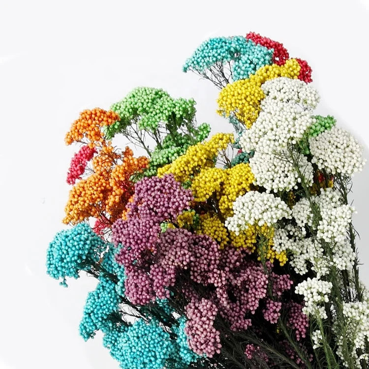 Natural Small Dried Preserved Millet Flower Rice Flowers Floral Decors Wedding Design