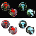Evorte Fashion Trendy Glass Ear Gauge Plug Tunnel Punk Expander Stretcher Earring Eyebrow Tongue Ear Lobe Piercing Children's