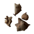 Wubeizi Natural Raw Chinese Herb Chinese Gall Nuts for Selling