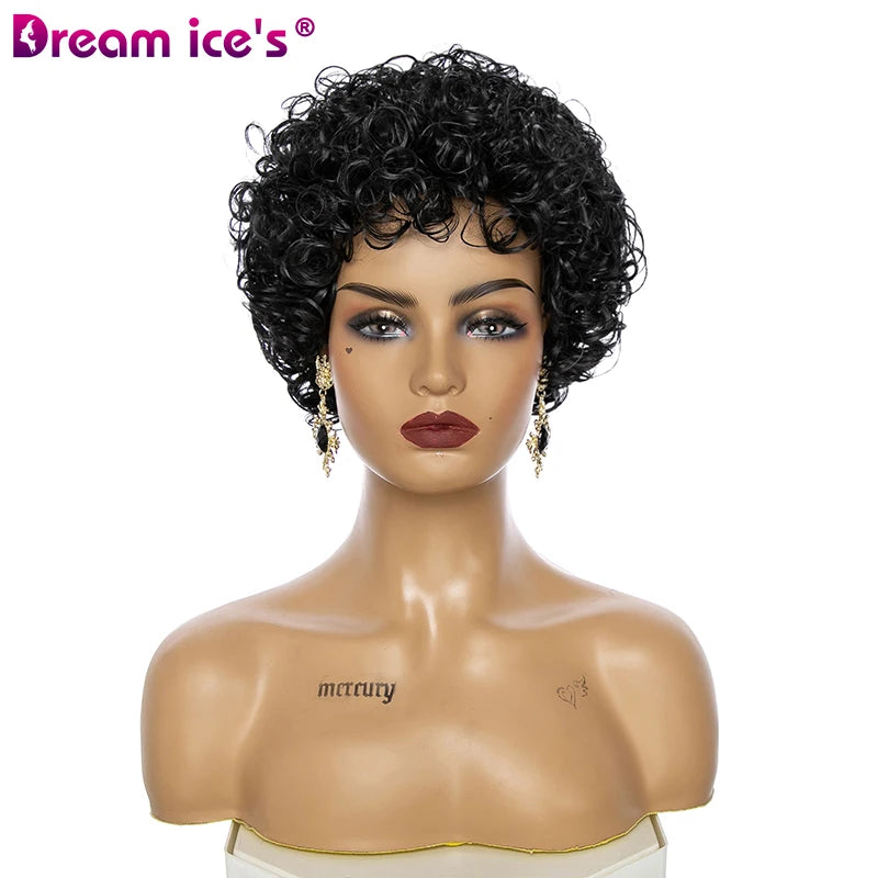 DREAM.ICE'S Short Hair Kinky Curly Black Wigs with Bangs for Black Women Synthetic High Temperature Fiber Transparent Lace