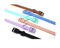 Adjustable XL Size Waterproof Rivet Eco-Friendly Neckband Wholesale Outdoor Training Dog Leash Colorful PVC Coated Webbing Solid
