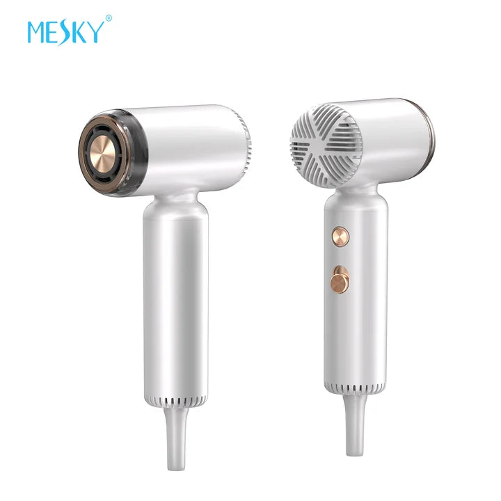 China 1300W Power 2 Wind High Speed Motor Hair Dryer Outdoor Hotel Commercial Household Use Blow Dryer