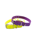 Small Durable Waterproof Nylon Pet Collar with PVC Metal Hardware Outdoor Sports Training Collar Rivet Decoration Factory Lights