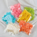 D143 Natural Crafts Dried Flowers Hydrangea Petals Crafts Dried Flower Materials Perpetual Flowers Hydrangea Petal