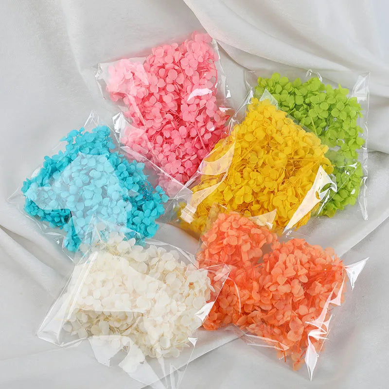 D143 Natural Crafts Dried Flowers Hydrangea Petals Crafts Dried Flower Materials Perpetual Flowers Hydrangea Petal
