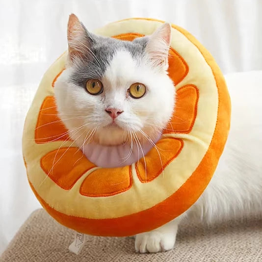 Elizabeth Pet Collar Universal for Cats and Dogs Anti-Lick Cartoon Cute High Fruit Collar Spay Pet Collar