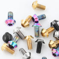 MUQZI Bike Titanium Torx Rotor Bolt M5*10mm Bike Brake Fastening Screw Disc Brakes Rotor Screws